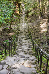 Fototapeta premium 熊野磨崖仏への参道