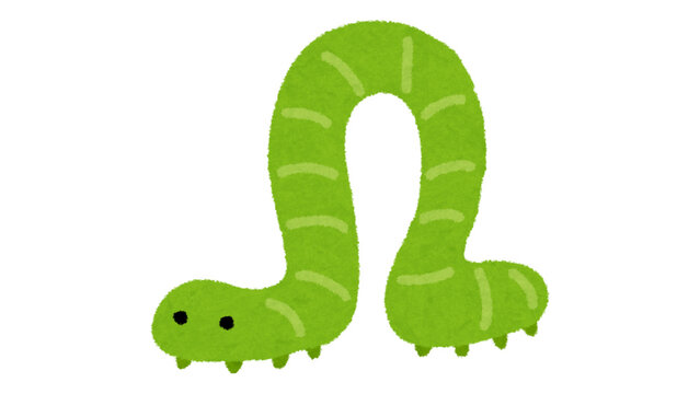 Illustration of a Green Geometer Moth Caterpillar