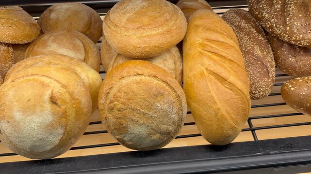 Golden baked bread rolls arranged on oven tray display fresh artisan bakery product with warm crusty texture. Appetizing baked goods footage suits bakery brand promotion, cafe marketing, food delivery
