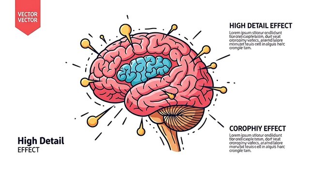 Colorful Detailed Brain Illustration with Activity Cords