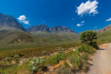 Fototapeta premium An amazing view on a perfect day over the Jonkershoek Nature Reserve located close to Stellenbosch in South Africa and home to the Jonkershoek Mountains and the impressiv valley. The reserve includes 