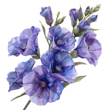 Matthiola Flower, charming vector painting in watercolor with whimsical textures, isolated on a white background.