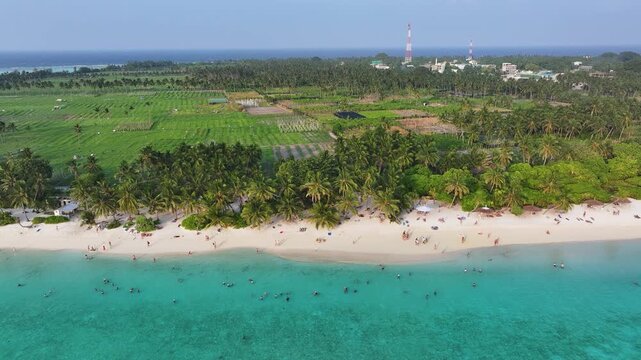Aerial view of the white sandy beach and turquoise waters with people swimming, surrounded by palm trees and agricultural fields in Thoddoo, Alif Alif Atoll, Maldives.