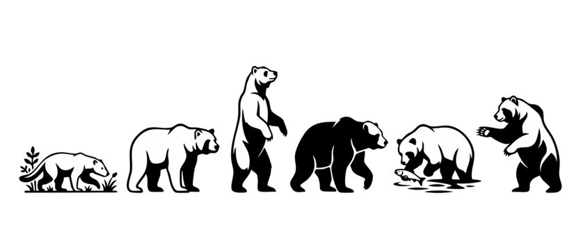 Bear evolution stages silhouette set, progression of wild brown bear animals from primitive to modern, isolated black and white vector icons collection for wildlife, biology, and nature logo design co