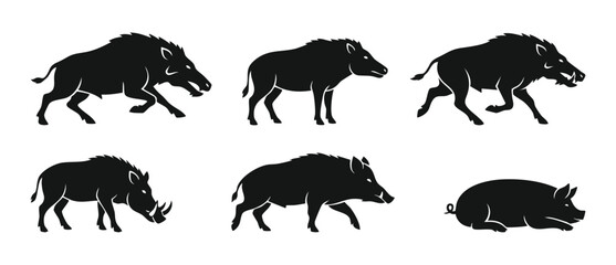 Obraz premium Wild Boar Silhouette Set, Collection of Hog and Pig Icons in Various Poses for Hunting Logo Design and Wildlife Graphic Elements Isolated on White Background for Sport Emblem and Animal Symbolism