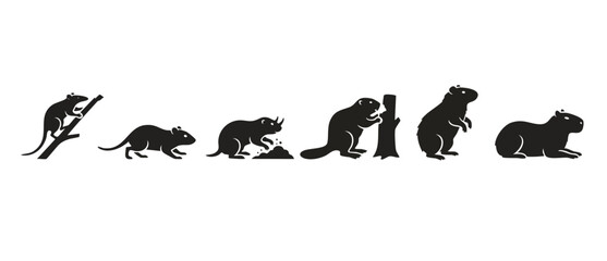 Obraz premium Rodent Silhouette Set Isolated Collection. Rat, beaver, capybara, and small wild animals in flat black graphic style for vector icon design, nature illustration, and biology educational material proje