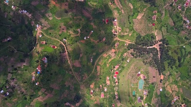 Fragmented smallholder farmland with mixed crops and scattered houses in Uganda showing subsistence agriculture system intercropping pattern and rural land use drone top down slow vertical pan shot