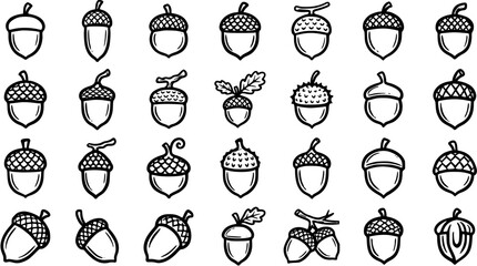 Black and White Line Art Acorns Icon Set - Diverse Nature and Autumn Forest Nuts Glyphs Collection © victoria