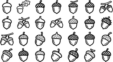 Black  White Line Art Nature Acorns Icon Set - Autumn Forest Harvest Symbols Glyphs Collection for Design © victoria