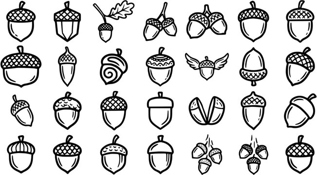 Nature and Autumn Black  White Line Art Acorns Collection: Hand-drawn Outline Icons Set Featuring Various Styles of Oak Nuts for Forest and Wildlife Designs.