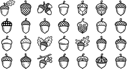Hand-drawn Autumn Acorns Black and White Line Art Icon Set. Stylized Doodle Oak Nuts for Fall Season Harvest and Nature Designs. © victoria