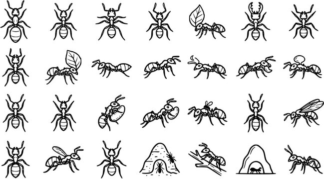Black and White Line Art of Diverse Ant Illustrations, Insects, Wildlife, Nature