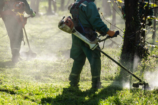 Groundskeeper Cutting Grass Near Tree in Sunlit Park