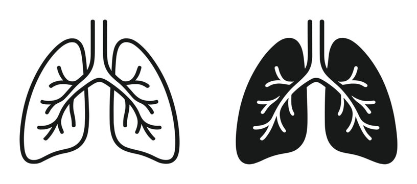 Human lungs outline and silhouette icons, respiratory anatomy medical vector illustration on transparent background