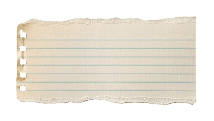 Torn lined notebook paper with punched holes, isolated on transparent background