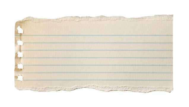 Torn lined notebook paper with punched holes, isolated on transparent background