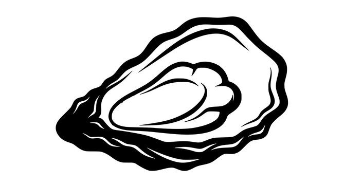 Black and white illustration of an open oyster shell