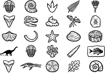 Paleontology Fossils and Dinosaur Icons Set. Prehistoric Creatures Black and White Line Art Glyphs. Ancient Life Outline Collection for Science  Education. © victoria