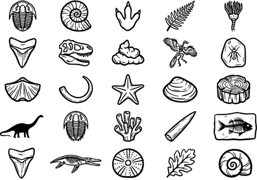 Paleontology Fossils and Dinosaur Icons Set. Prehistoric Creatures Black and White Line Art Glyphs. Ancient Life Outline Collection for Science  Education.