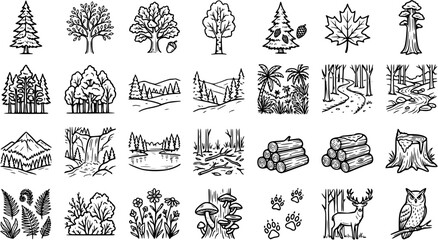 Black and White Line Art Icons of Forest Elements and Wildlife, Nature Icons, Vector Set © victoria