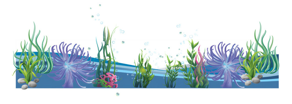 Underwater Seaweed and Coral Reef Border isolated on white background, vector illustration