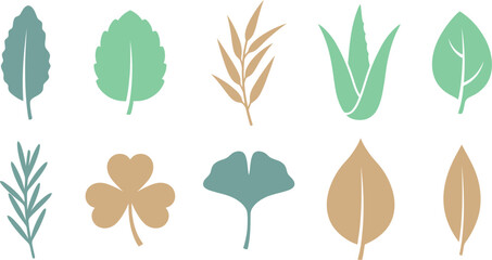 Herbal wellness botanical leaf vector pack with sage mint eucalyptus aloe and rosemary isolated flat natural illustration set  © Madhuka Disanayaka