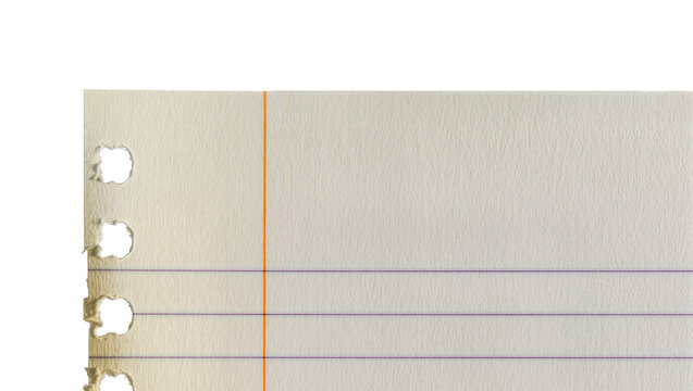 Torn lined paper with three punched holes, isolated on transparent background
