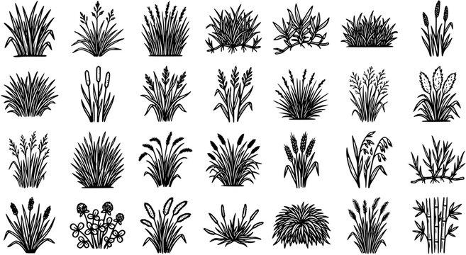 Black and White Hand Drawn Nature Grass, Plant, and Crop Bushes Vector Line Art Icon Set for Agriculture and Landscaping