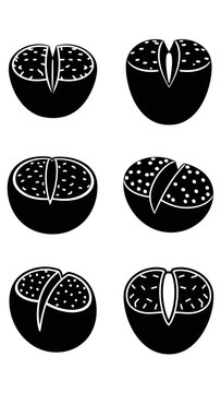 Lithops Plant Silhouette Icons Set, Living Stones Succulent Icons