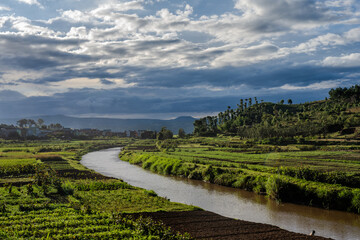 Naklejka premium Winding river flows through lush agricultural fields near Antsirabe
