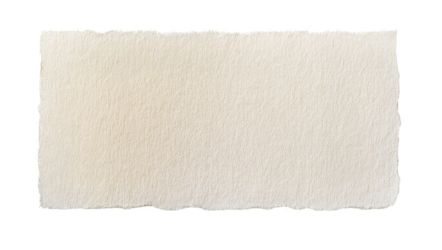 Rough textured beige paper strip with torn edges, isolated on transparent background