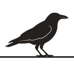 Fototapeta premium Raven Silhouette on Ground - Black Bird Vector Icon