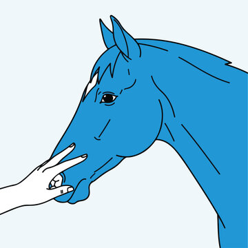 Human hand gently caressing a blue horse's muzzle, stylized illustration, animal interaction