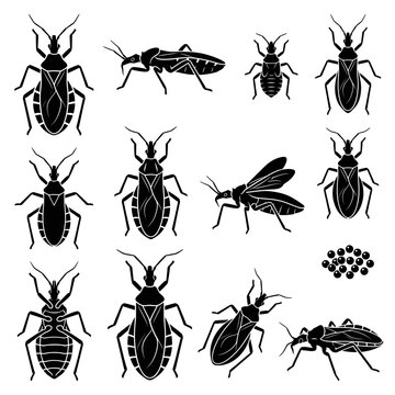 Black and white vector silhouette set of Kissing Bugs