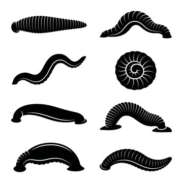 Black and white vector silhouette set of Leech