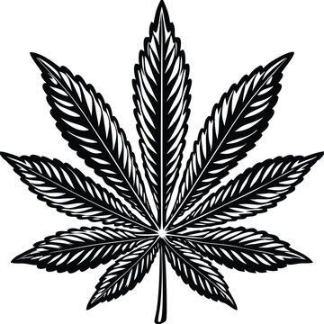Cannabis leaf, marijuana symbol, black vector icon, weed logo