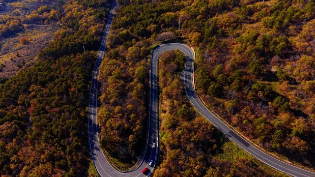 Aerial view of a double curve asphalt highway surrounded by orange, yellow and green autumn trees. S curve mountain road through colorful autumn deciduous forest.