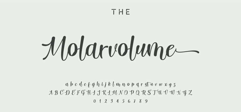elegant handwritten font that captures a realistic signature style, great for personal logos and stationery. signature Font Calligraphy Logotype Script Brush Font Type Font lettering handwritten. 