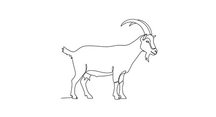Fototapeta premium Hand-drawn outline of a standing goat with horns and udder, isolated on white background