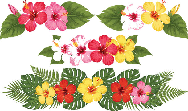Tropical Hibiscus Flower Vector Set with Red, Pink, Yellow, and White Blooms, Green Leaves and Ferns, Floral Arrangements for Summer Illustrations, Exotic Botanical Designs, and Decorative Graphics.