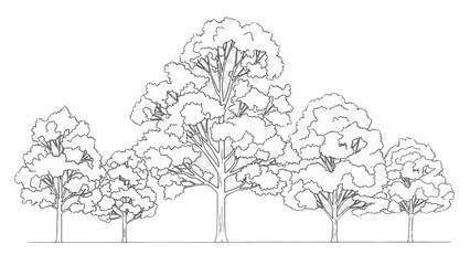 Fototapeta premium Detailed 2D CAD illustration of trees standing in a serene natural landscape setting outdoors