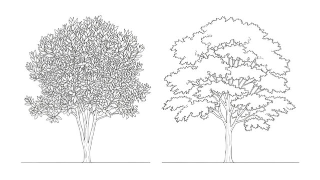 2D CAD illustrations of trees with foliage and trunks in a simple landscape