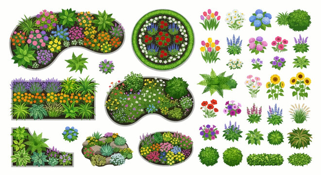 garden beds and flower arrangements top view vector illustration