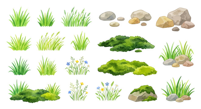 Watercolor illustration of grass rocks and moss on white background