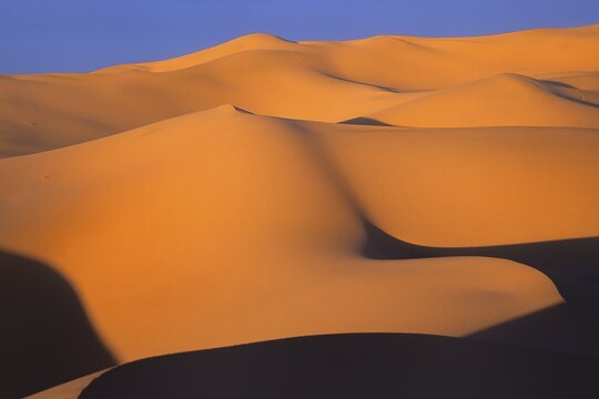 Sand waves in Khongoryn Els, the singing sands area, Gobi desert, Mongolia