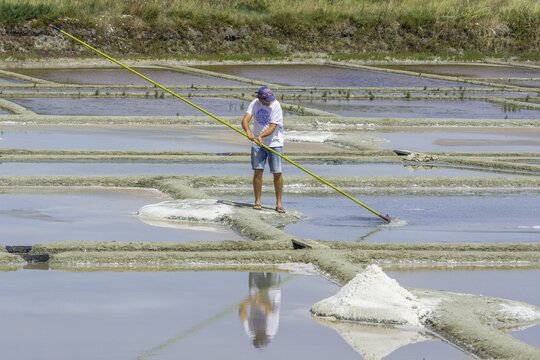Man skimming salt, Salines de Gu&eacute;rande, Gu&eacute;rande, D&eacute;partement Loire-Atlantique, France