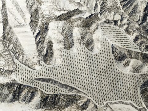 Badlands and cultivated olive trees (Olea europaea) . Aerial view. Drone shot. Granada province, Andalusia, Spain