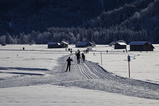 Winter landscape in the snow, cross-country skier on cross-country trail through snowy landscape, Oberstdorf, Oberallg&auml;u, Allg&auml;u, Bavaria, Germany