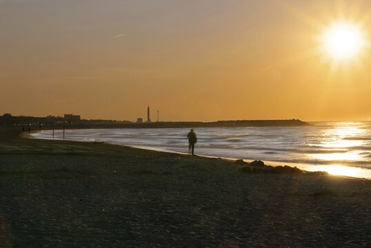Sea shell seeker at the beach of Cavallino in the morning sun, Venice, Italy, Europe