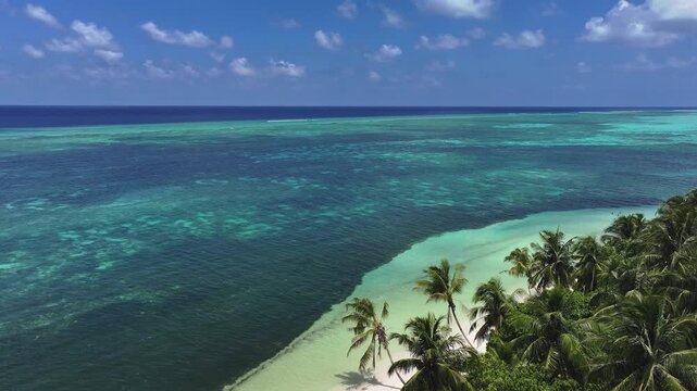 Aerial view of a pristine tropical beach with lush palm trees and turquoise coral reefs under a blue sky in Goidhoo, Baa Atoll, Maldives.